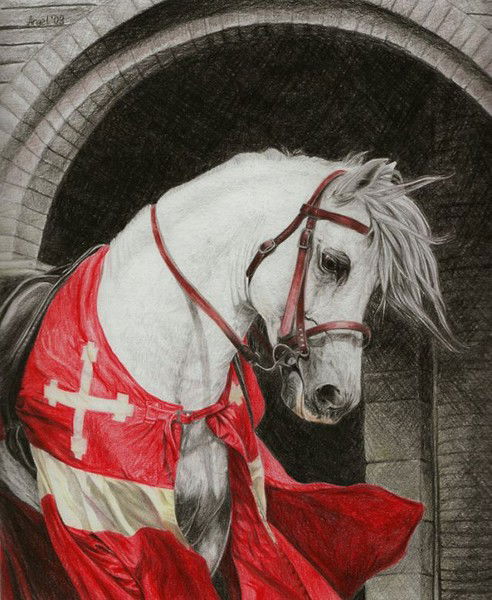 Павел Белоконь