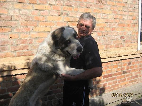 Виктор Зайцев