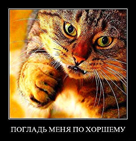 Алексей Демиров