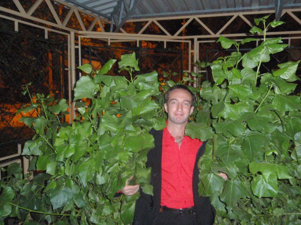 Алексей Жогалев