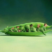 Альбина Морозова