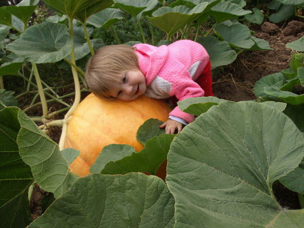 Игорь Николаев