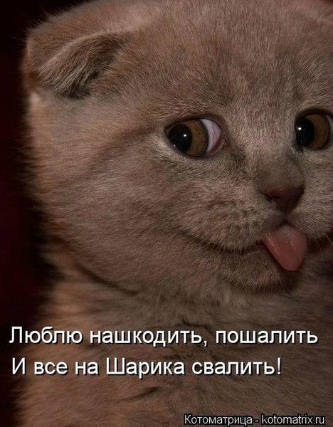 Александр Кожевников