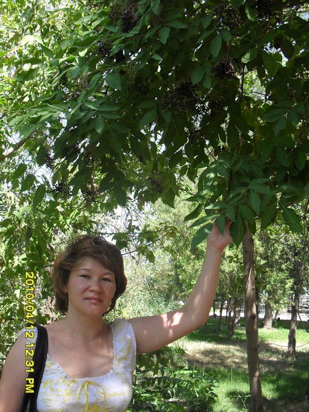 Жания Тасбулатова