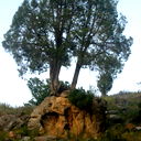 Рыскулбек Зулушев