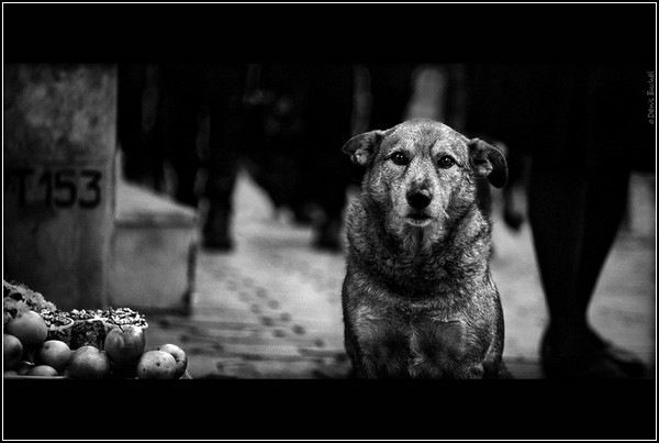 Екатерина Палкина