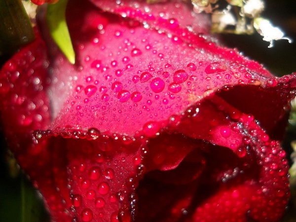 Наталья Халитова