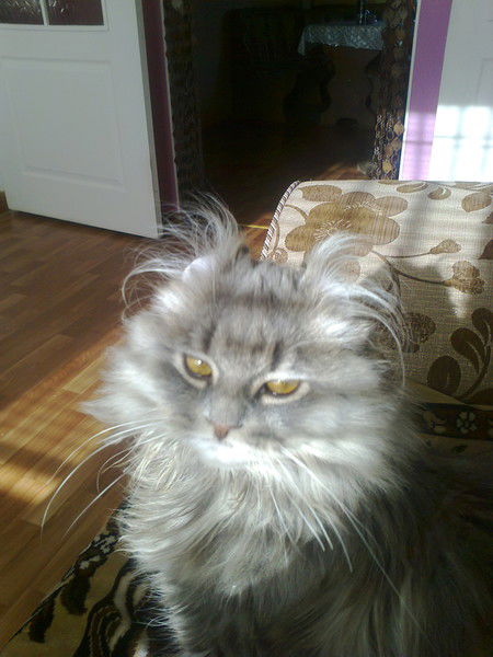 Алина Протасова