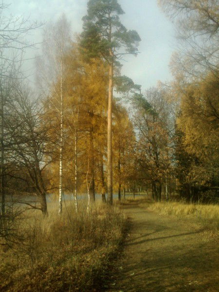 Юрий Головатенко