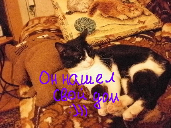 Анастасия Малиновская