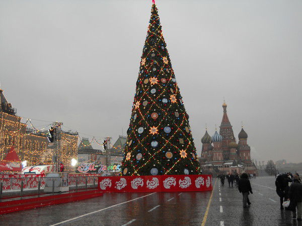 Анна Дедова