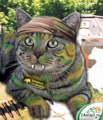 Ирина Майсюк