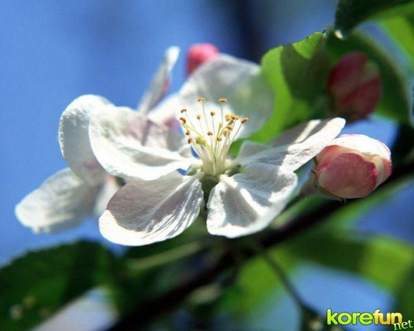 Пакизада Жолдасбаева