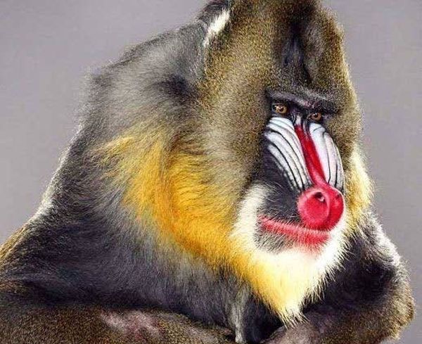 Александр Кулешов