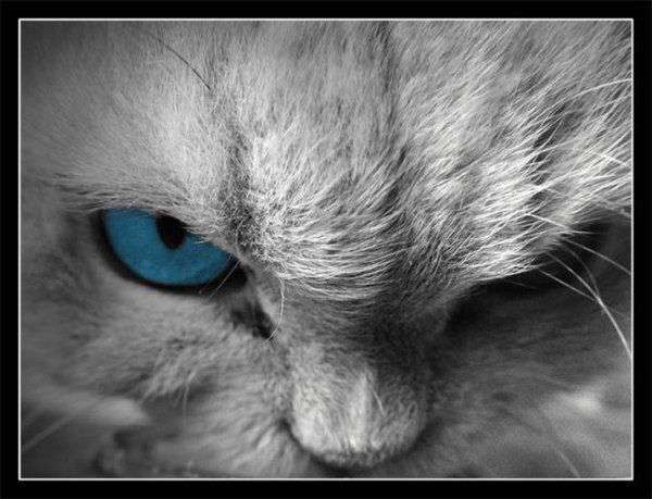 Сергей Яковлев