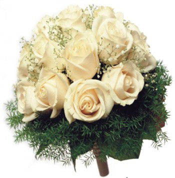 Светлана Шмелева