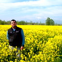 Mushfiq Huseynov