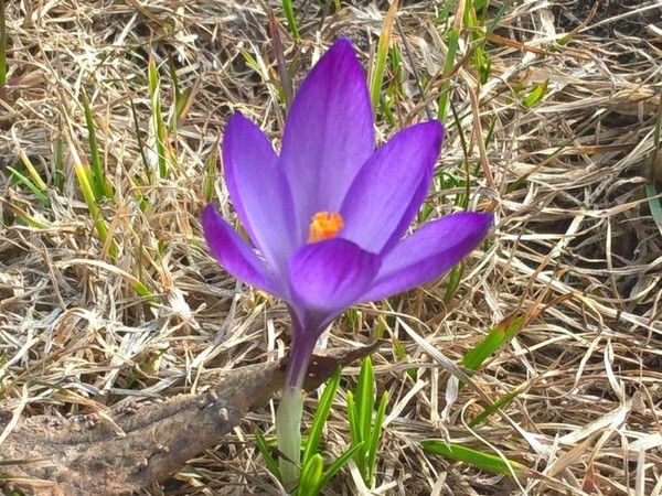 Сергей Седохин