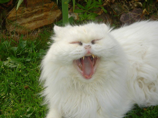 Сергей Патиюк