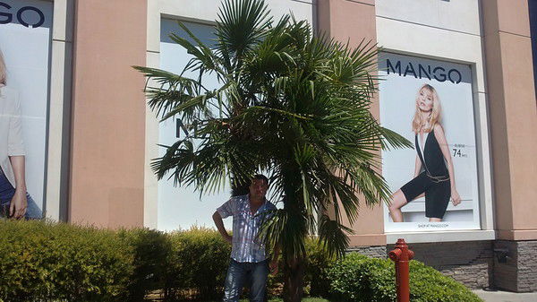 Камол Акрамов