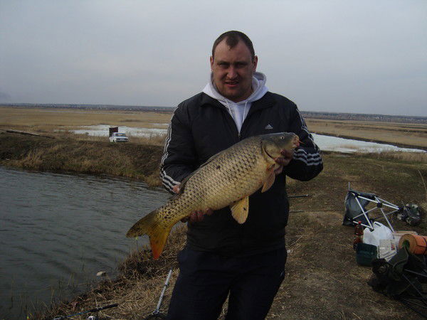 Дмитрий Мартынов