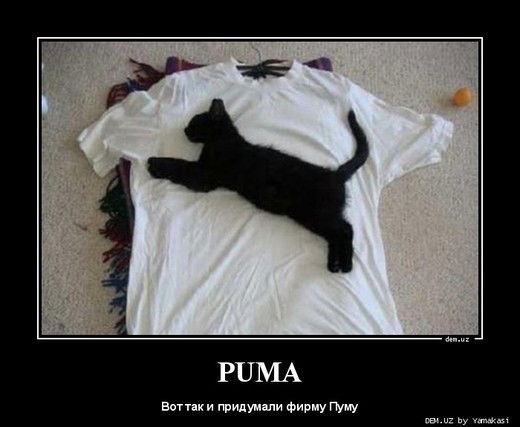 Омирхан Сламбеков