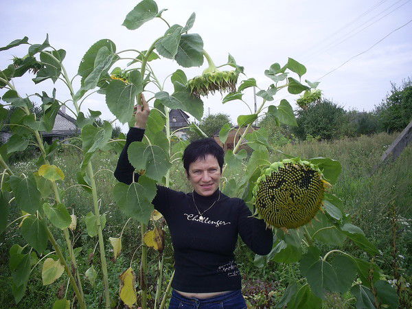 Алла Федотова