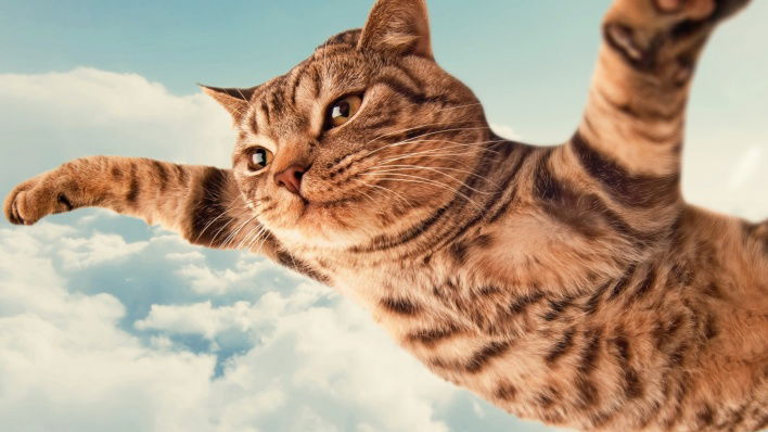 Нина Иванова