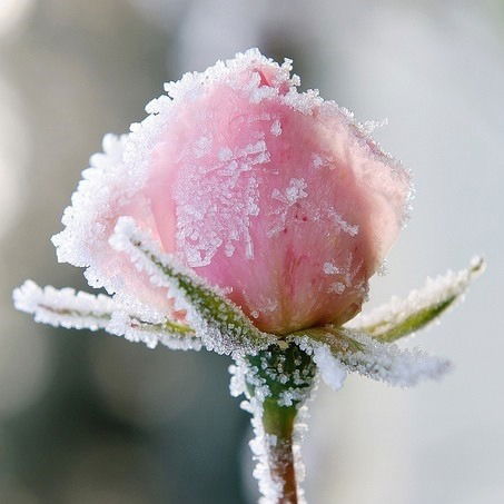 Ольга Бурвин