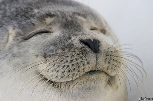 Денис Конев