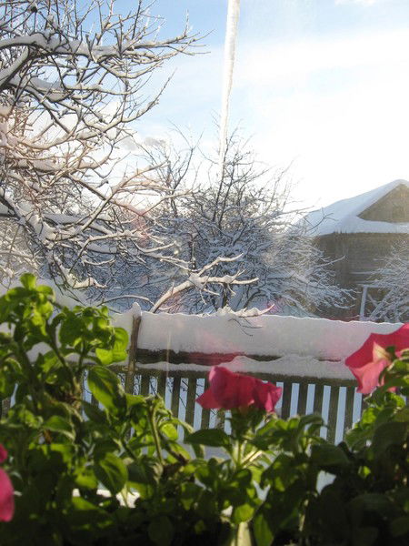 Гульфия Гарипова