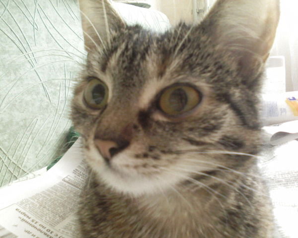 Галия Маматкулова