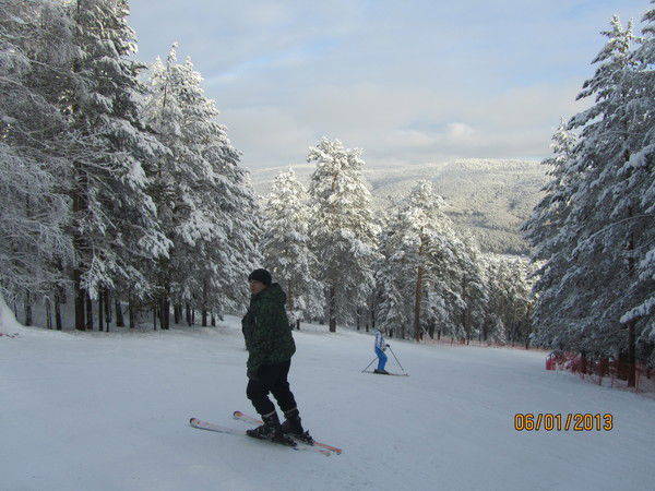 Владимир Маркин