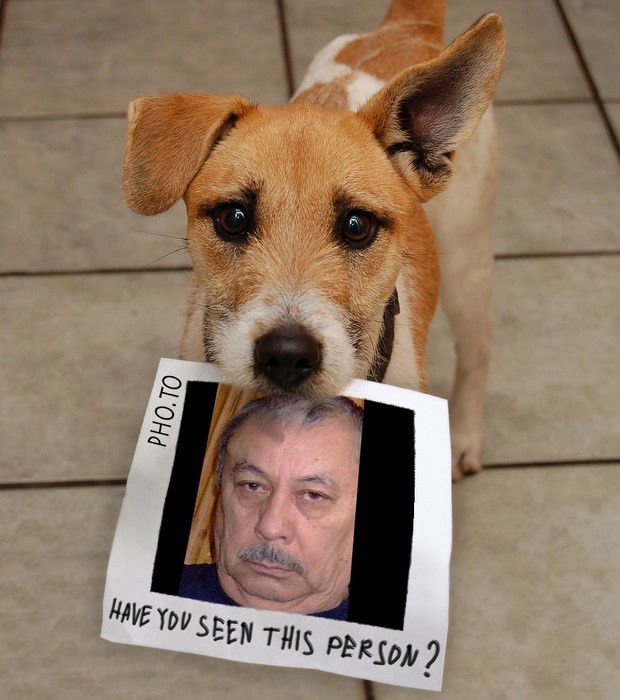 Слава Краснов