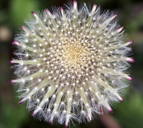 Сергей Карасев