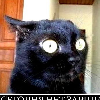 Александр Гридько