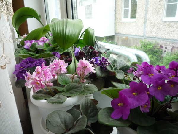 Ирина Куликова