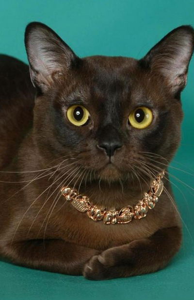 Ксюша Федотова