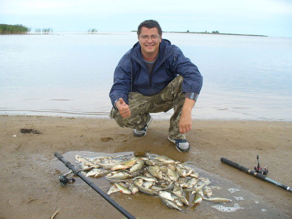 Александр Чамин