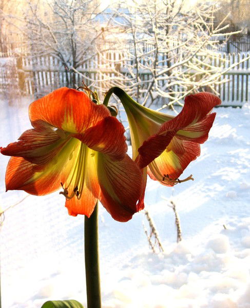 Татьяна Митькина