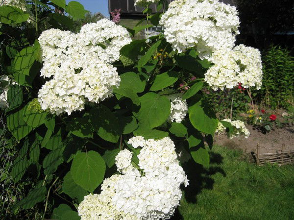 Любовь Филатова