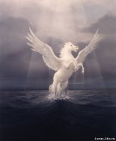 Наталья Сытюгина