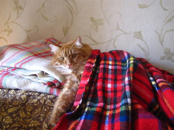 Аня Смирнова