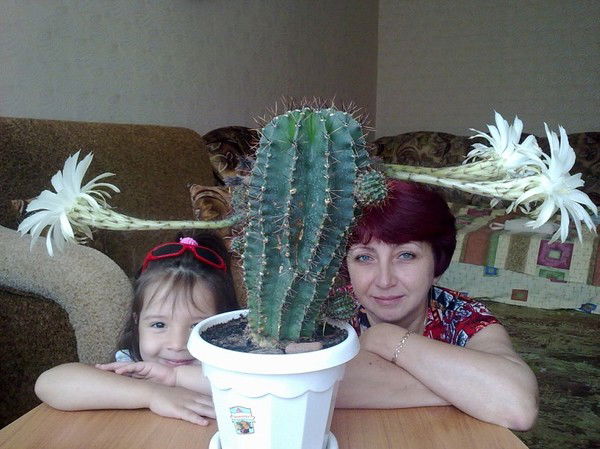 ...я...я...я... ...я...я...я...