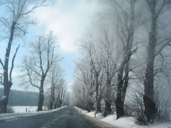 Владимир И Ольга Яворские