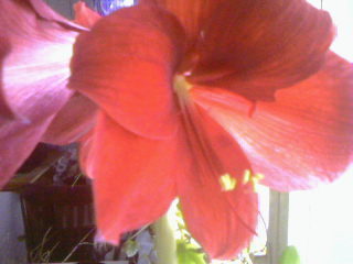 Неизвестно Неизвестно