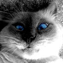 Коренной Обитатель