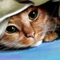 Алина Марчук