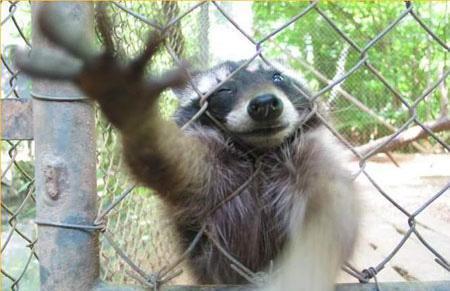 Владимир Сапрыкин