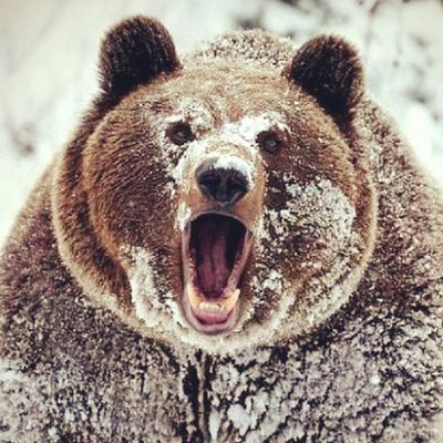 Александр Маглыш